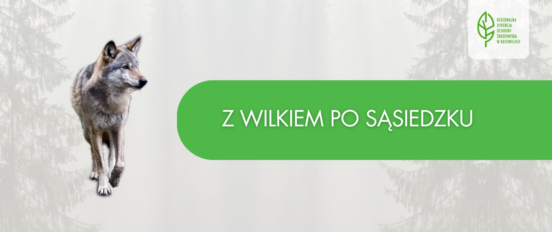 Z wilkiem po sąsiedzku - kampania - grafika promocyjna
