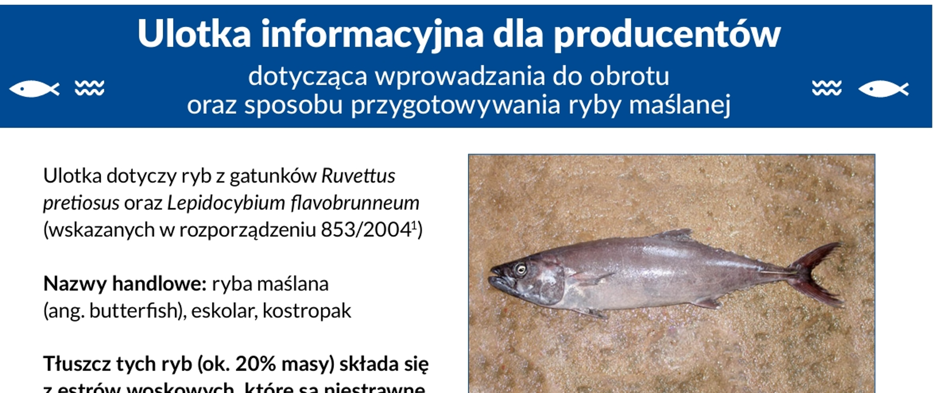 ulotka-informacyjna-ryba-maslana