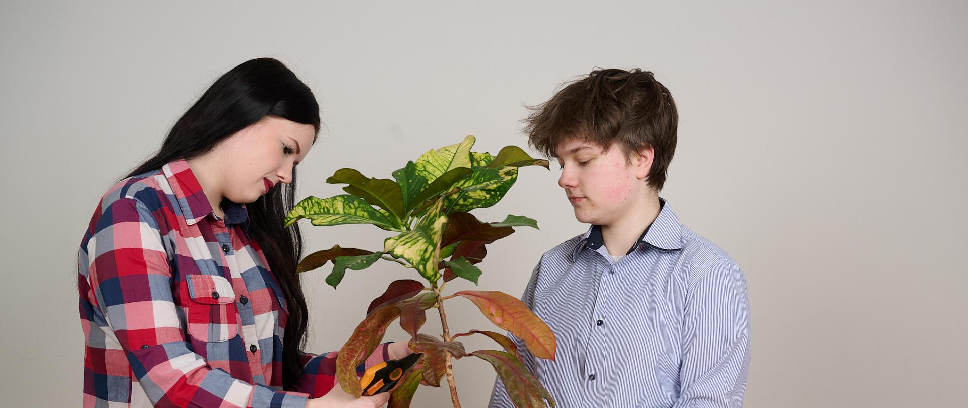 Dwie dziewczyny zwrócone do siebie, jedna trzyma kwiat w doniczce, druga sekatorem przycina liście