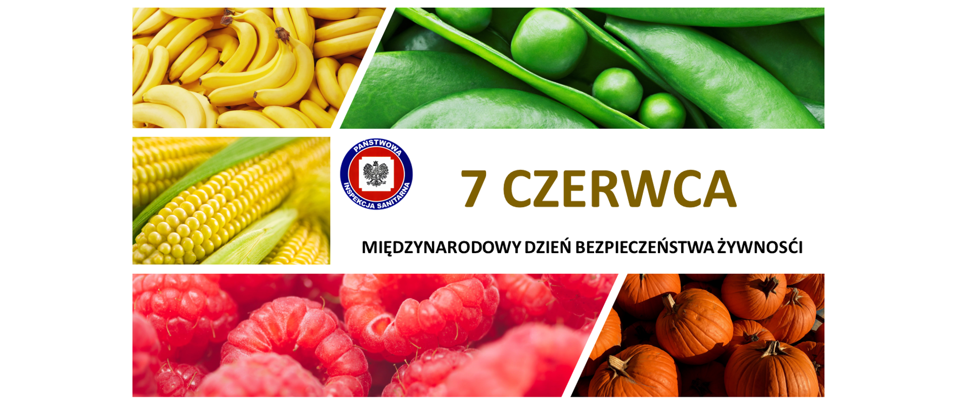 7_czerwca_MDzBŻ