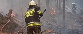 Pożary w obszarach leśnych powiatu złotowskiego