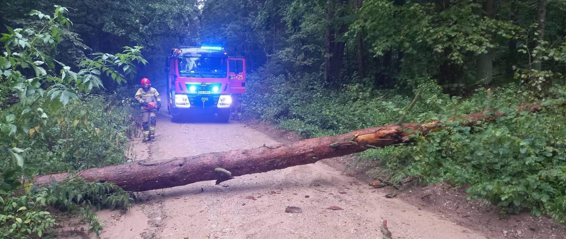 Skutki nocnych nawałnic w powiecie sejneńskim