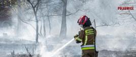 pożar lasu