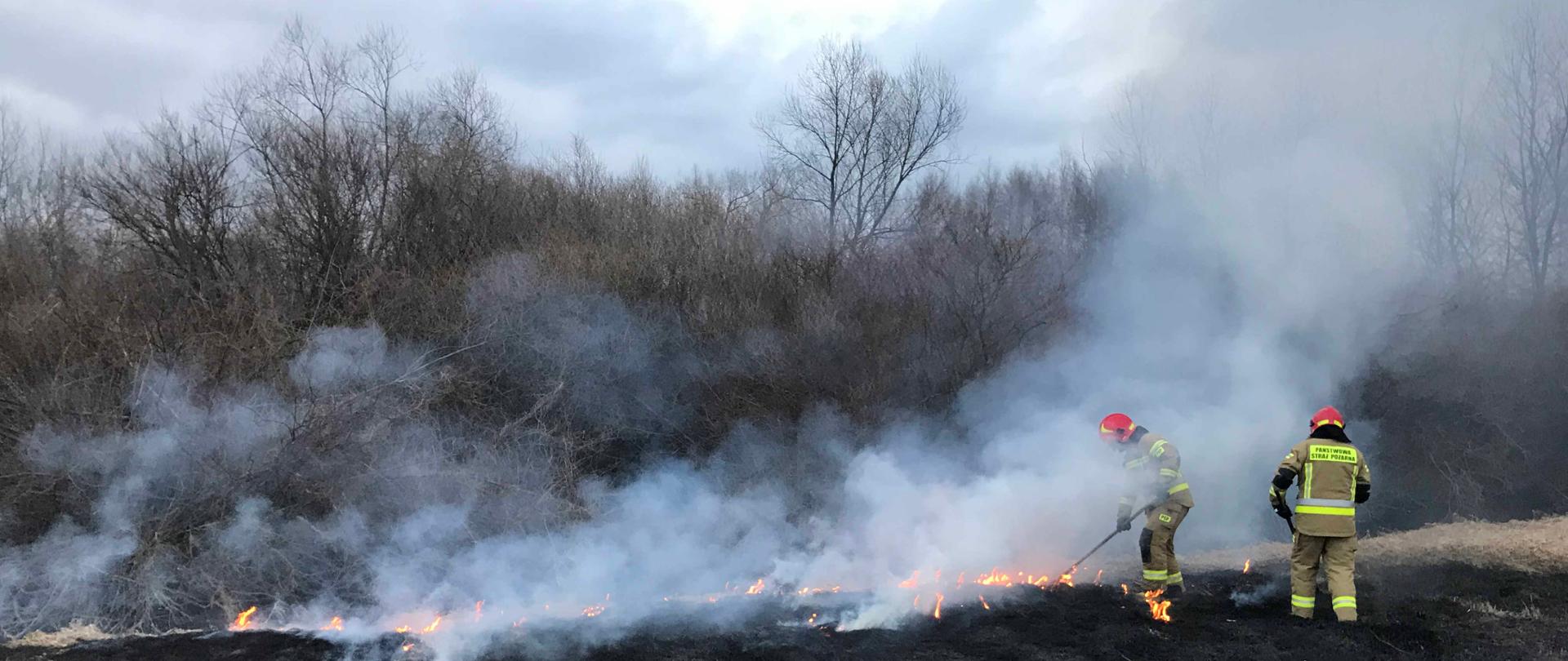 Zdjęcie przedstawia dwóch strażaków, którzy gaszą paląca się trawę za pomocą tłumic. Na dole zdjęcia widać czarną spaloną trawę. Pośrodku strażacy stoją w dymie i pośród płomieni. Za nimi znajdują się zarośla. Strażacy ubrani są w ubrania bojowe a na głowach maja hełmy.