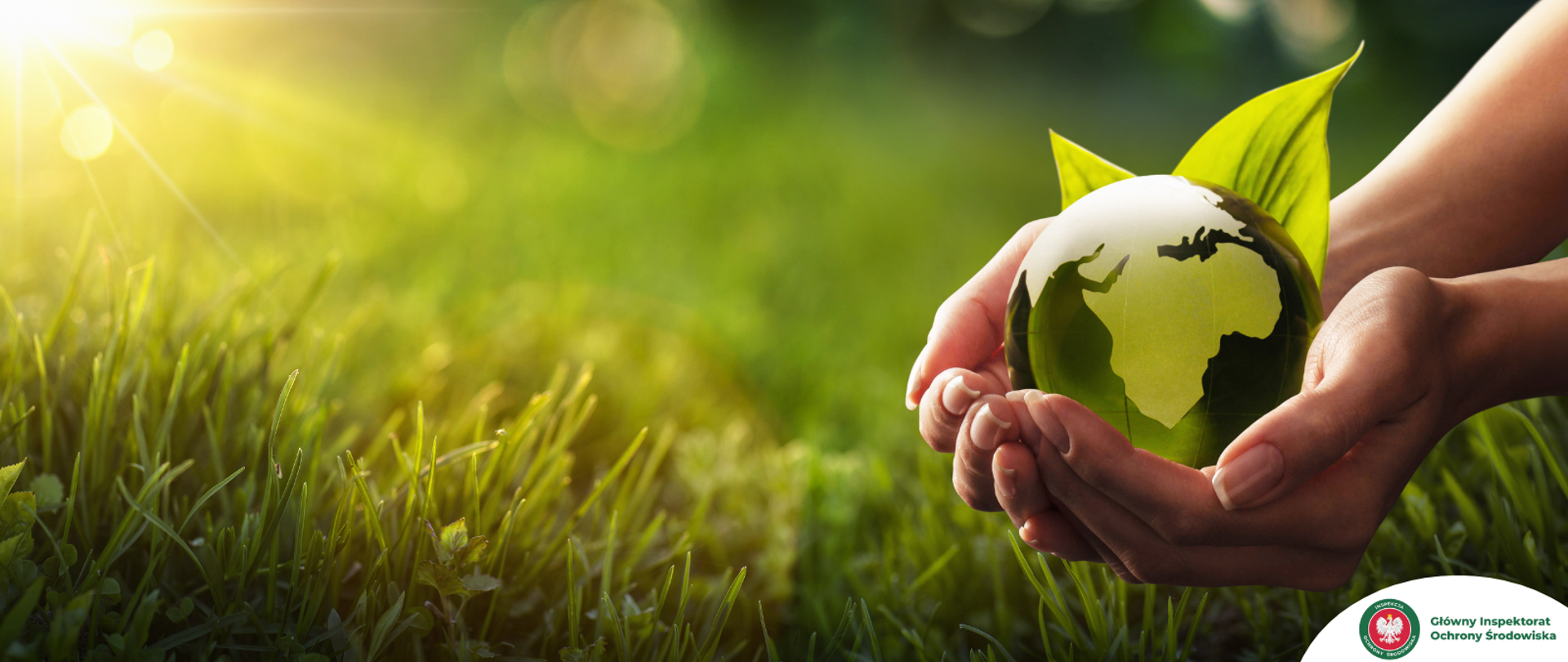 Informacja o realizacji zadań Inspekcji Ochrony Środowiska w 2023 roku