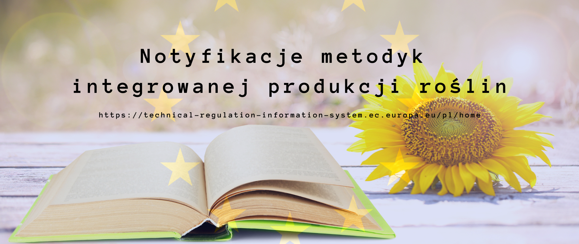 Notyfikacje metodyk IP.png