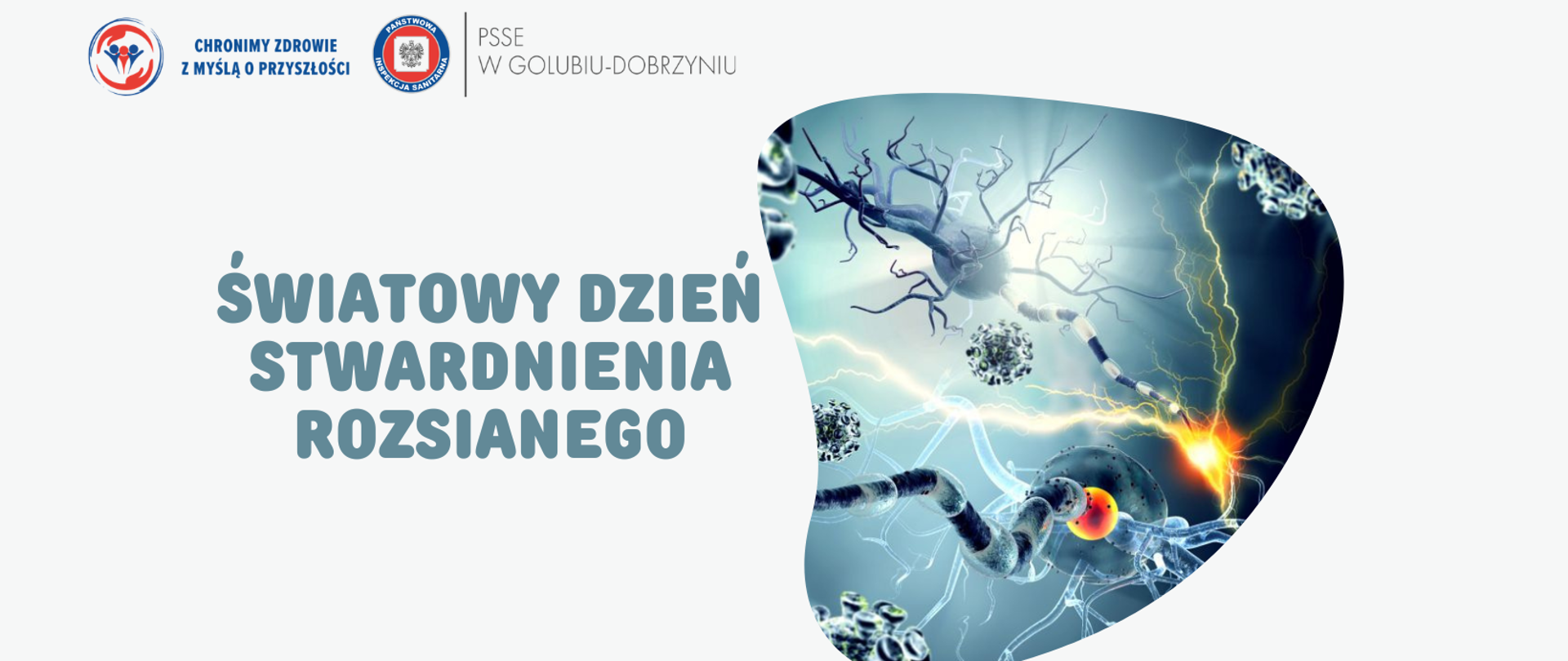 Na jasnym tle po lewej stronie napis: "Światowy Dzień Stwardnienia Rozsianego". Powyżej logotyp Państwowej Inspekcji Sanitarnej oraz Powiatowej Stacji Sanitarno-Epidemiologicznej w Golubiu-Dobrzyniu. Po prawej stronie grafika przedstawiająca włókna nerwowe w stanie zapalnym. 