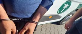 Mężczyzna z założonymi kajdankami na rękach stoi przed samochodem służbowym Inspekcji Transportu Drogowego