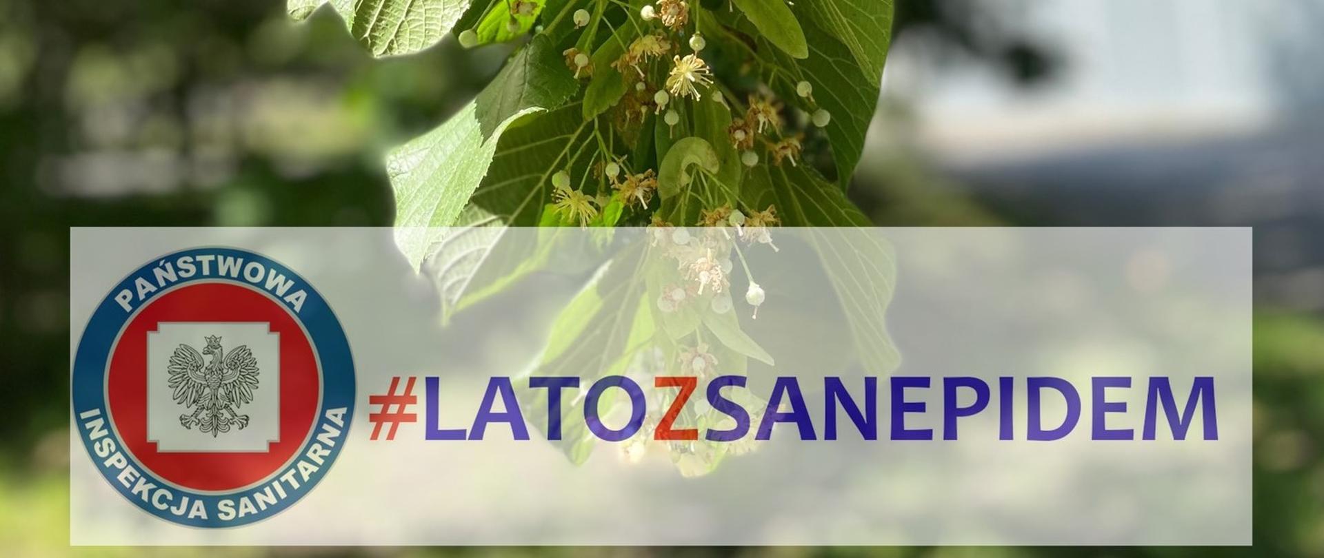 #LATO Z SANEPIDEM