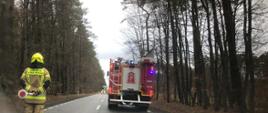 Blokada drogi w czasie usuwania leżącego drzewa na drodze. Na pierwszym planie z lewej strony stoi strażak z Ochotniczej straży Pożarnej ubrany w ubranie specjalne koloru piaskowego, trzymając sygnalizator do kierowania ruchem. Na prawym pasie jezdni stoi pojazd ratowniczo gaśniczy.