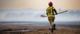 Kwietniowy pożar w Biebrzańskim Parku Narodowym - strażak biegnie do zarzewia ognia