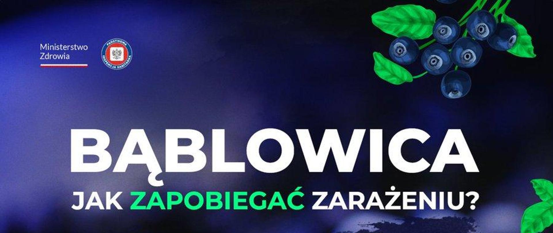 bąblowica