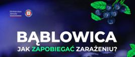 bąblowica