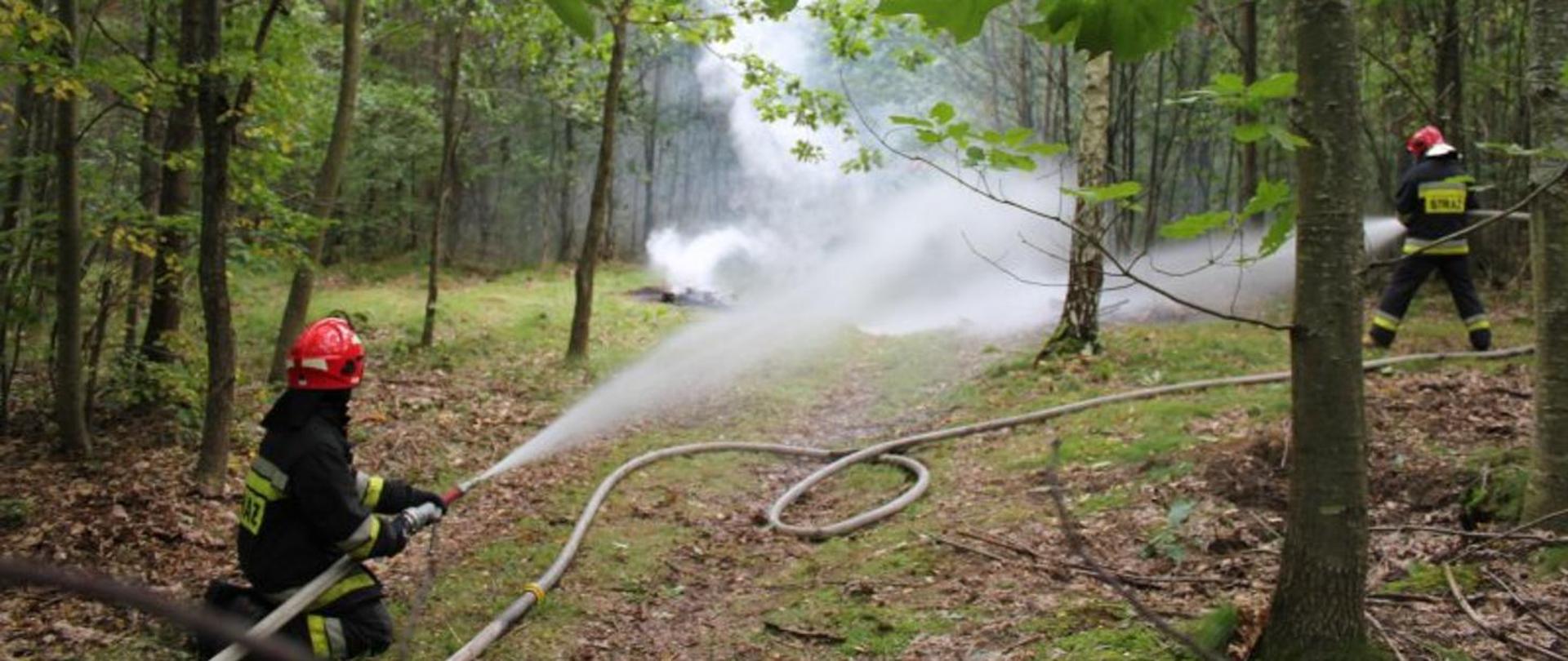 Zdjęcie przedstawia strażaka gaszącego las liściasty