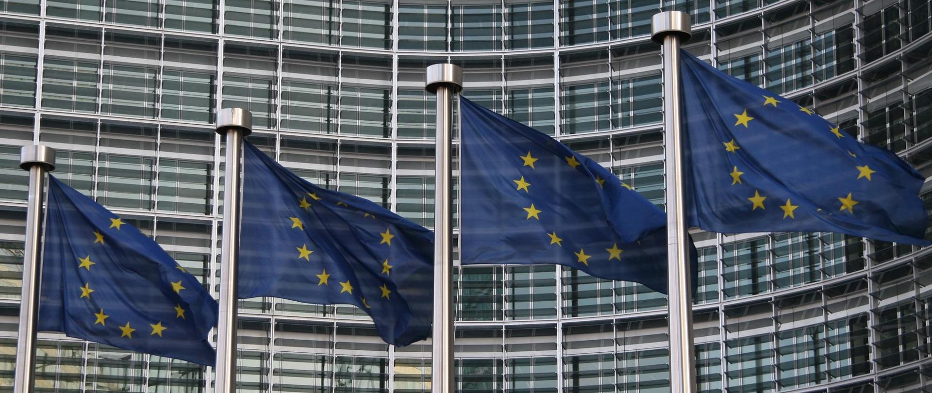 Na tle ściany budynku rząd flag UE.