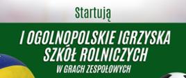 Grafika