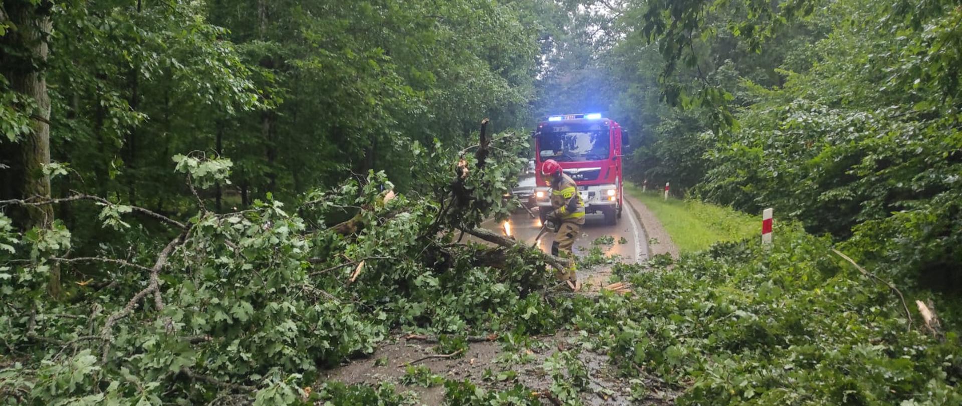 Wiatrołomy 12.07.2022 r.