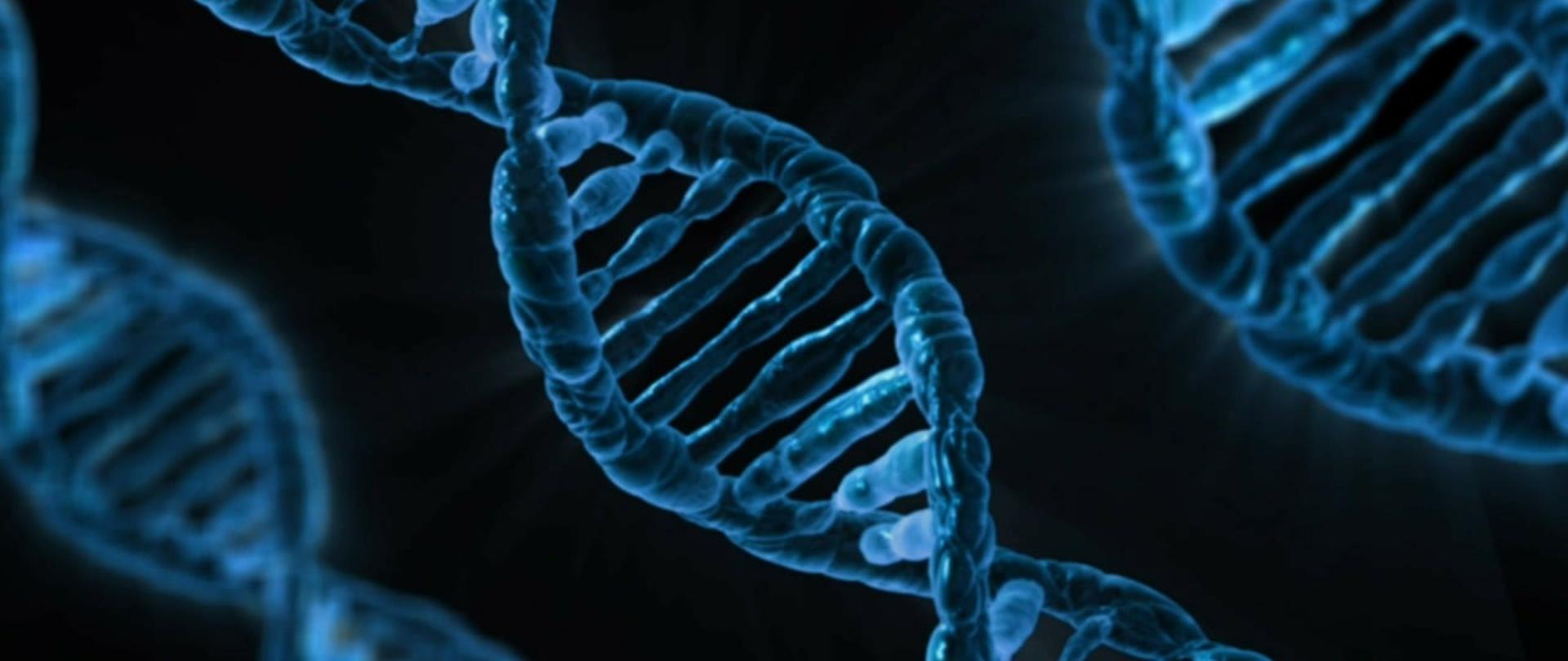 Grafika przedstawiająca DNA