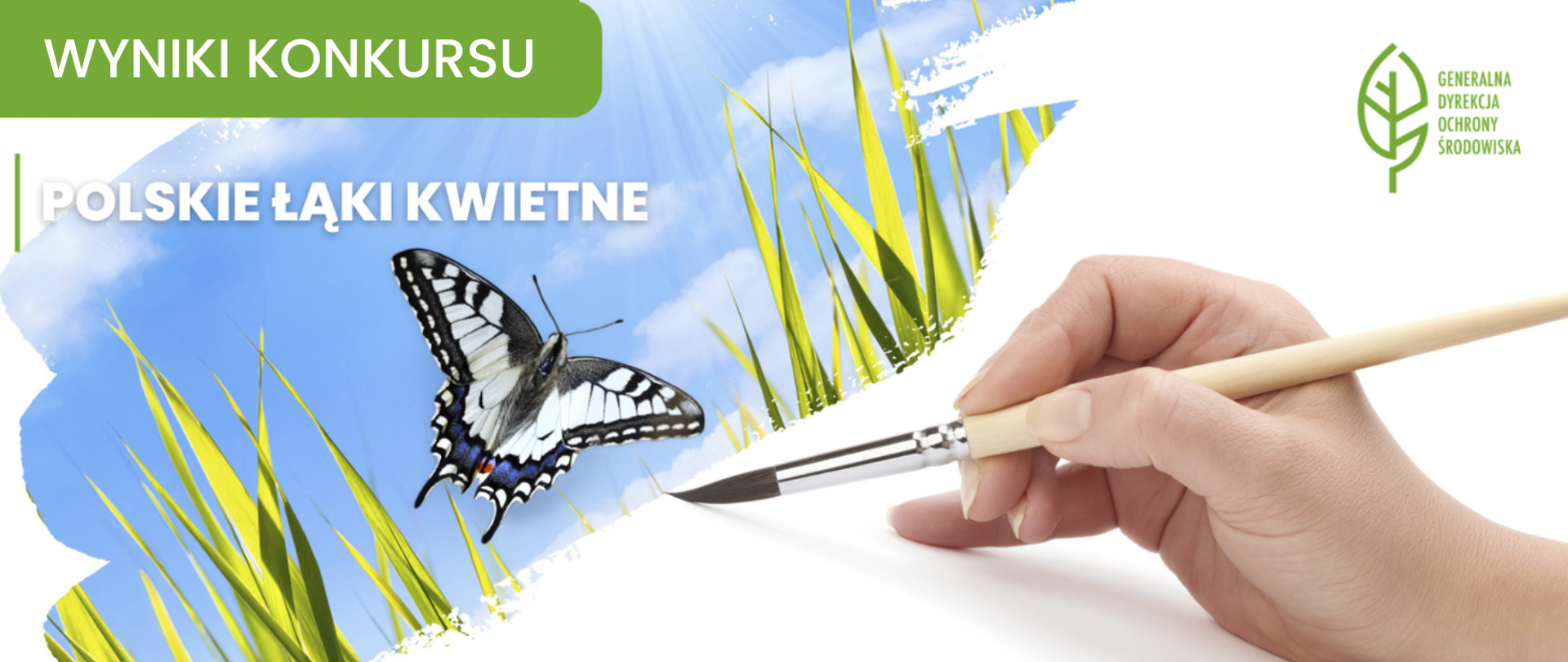 Grafika informuje o wynikach konkursu plastycznego pt. „Polskie Łąki Kwietne”, organizowanego przez Generalną Dyrekcję Ochrony Środowiska. Na obrazku widać kolorowy fragment z niebieskim niebem, trawą i realistycznie oddanym motylem (paź królowej). Dłoń trzymającą pędzel, który zdaje się malować ten krajobraz na białym tle. Widać napis informujący o wynikach konkursu oraz logo Generalnej Dyrekcji Ochrony Środowiska w prawym górnym rogu.