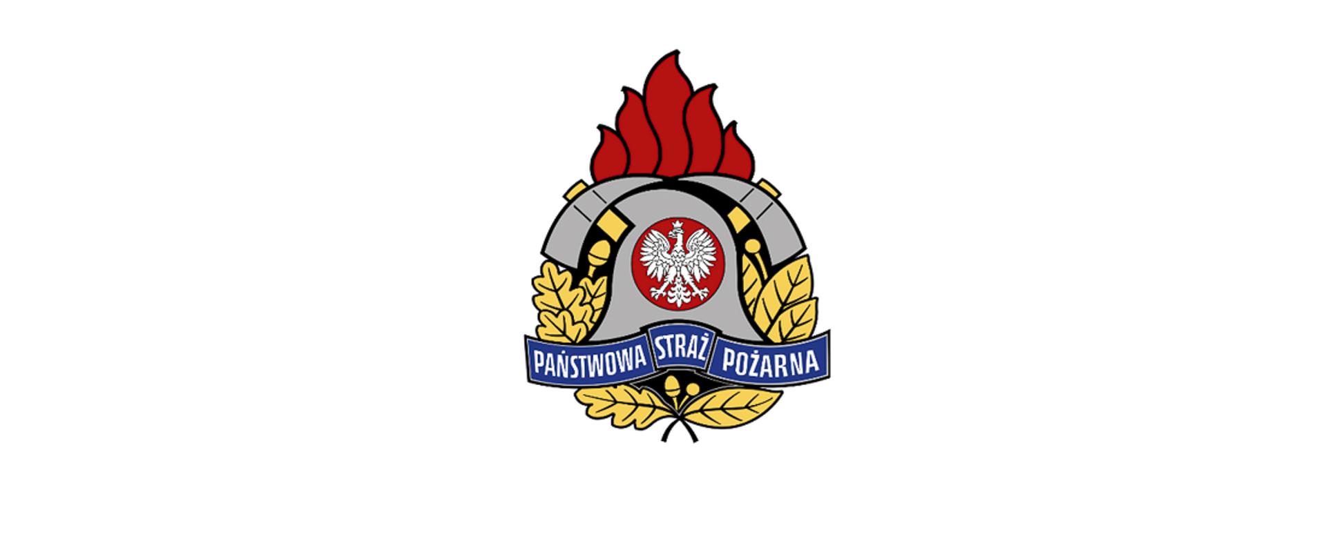 LOGO_PSP