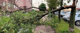 Usuwanie skutków silnego wiatru i opadów deszczu na terenie powiatu kościerskiego
