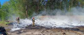 Pożar dzikiego wysypiska śmieci. Zdjęcie przedstawia miejsce pożaru o powierzchni 100 metrów kwadratowych.