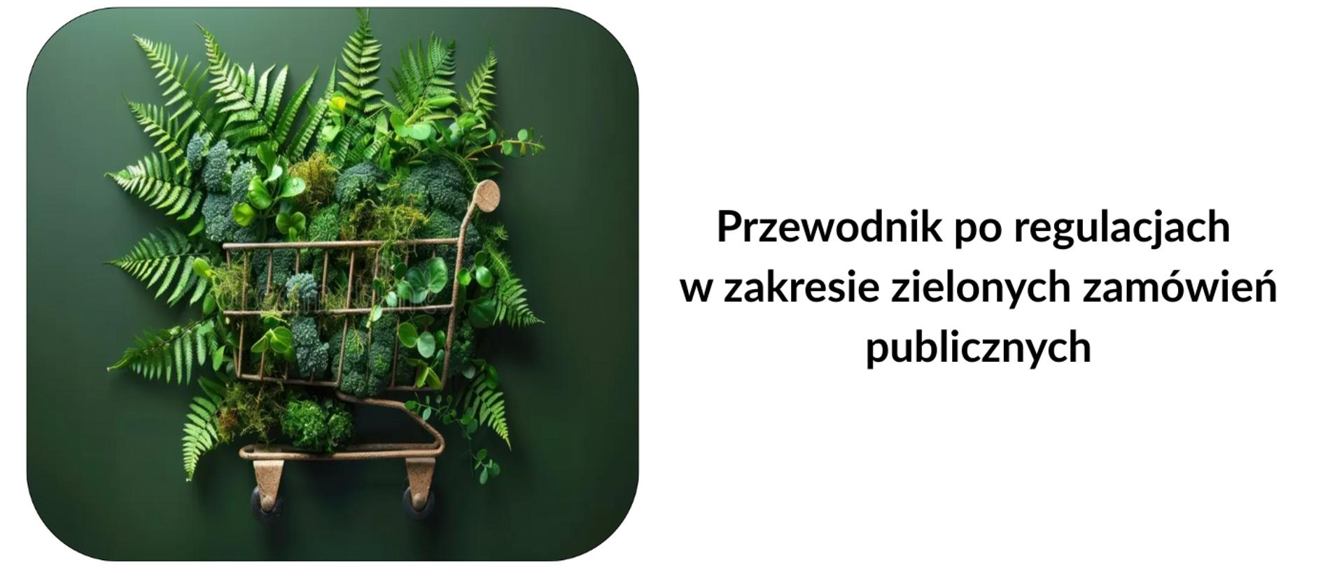 Przewodnik po regulacjach w zakresie zielonych zamówień publicznych
