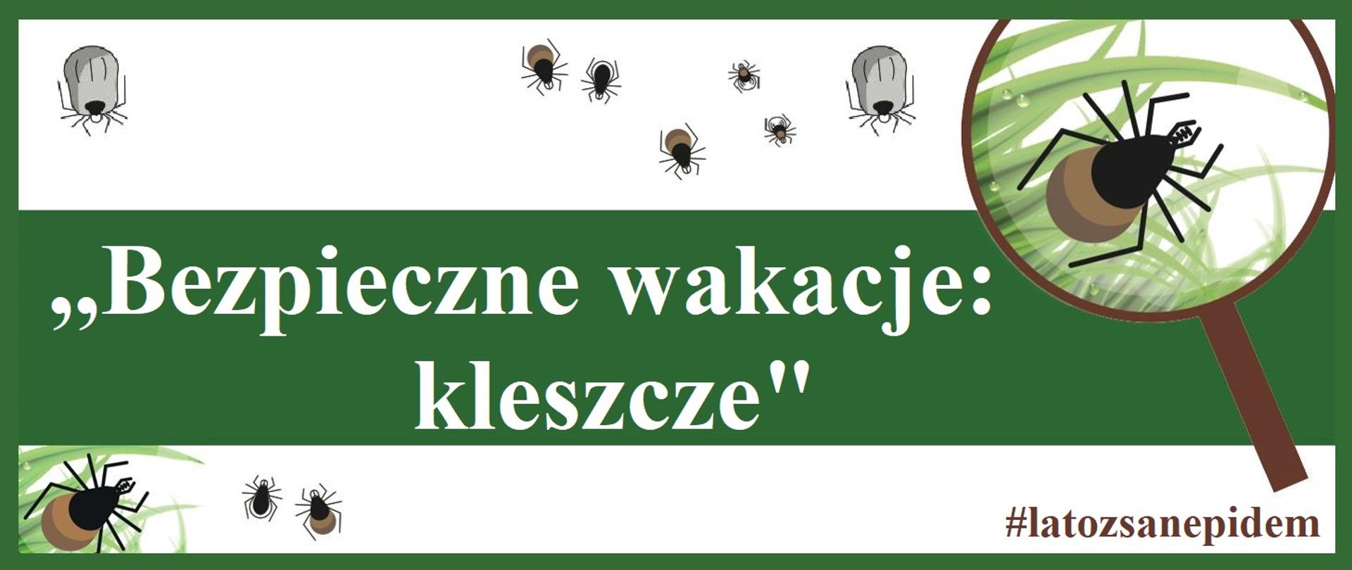 Bezpieczne wakacje: kleszcze