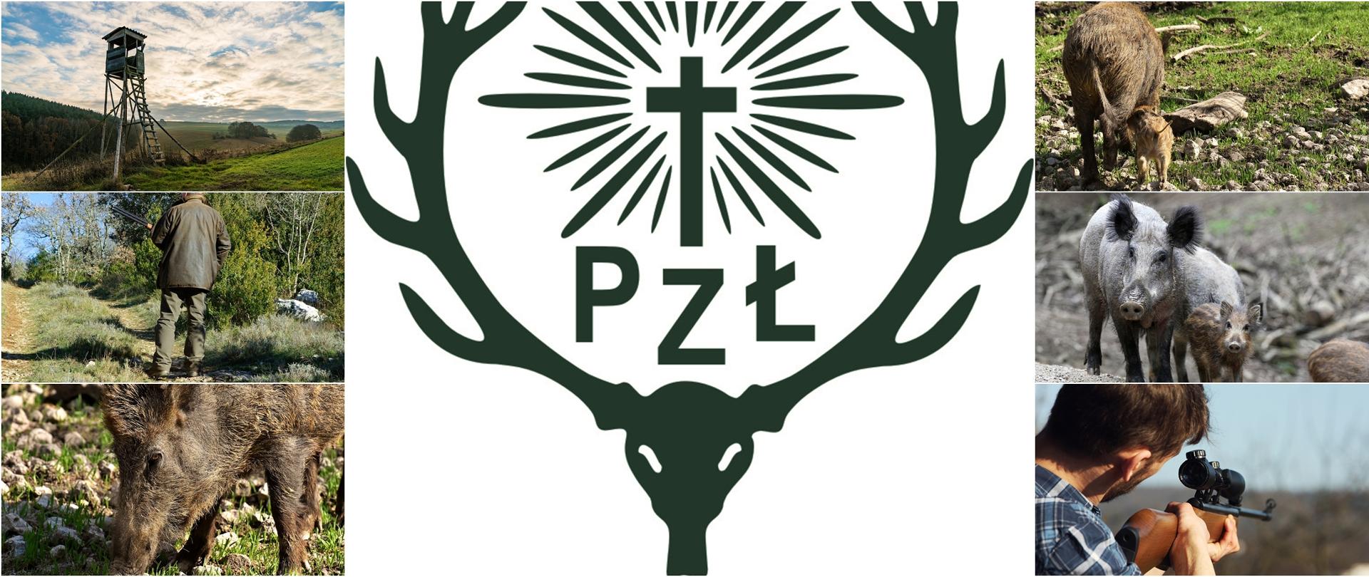 Kolaż_dziki_myśliwi_Polski_Związek_Łowiecki