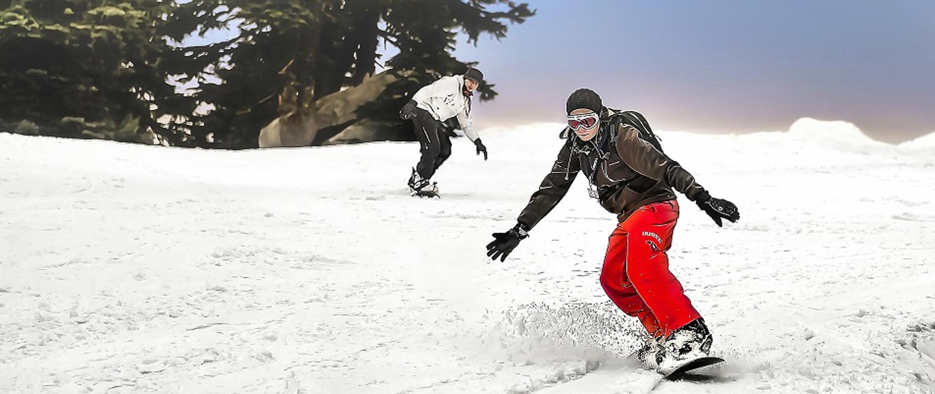 Dwóch mężczyzn zjeżdżających z zaśnieżonej górki na deskach snowboardowych