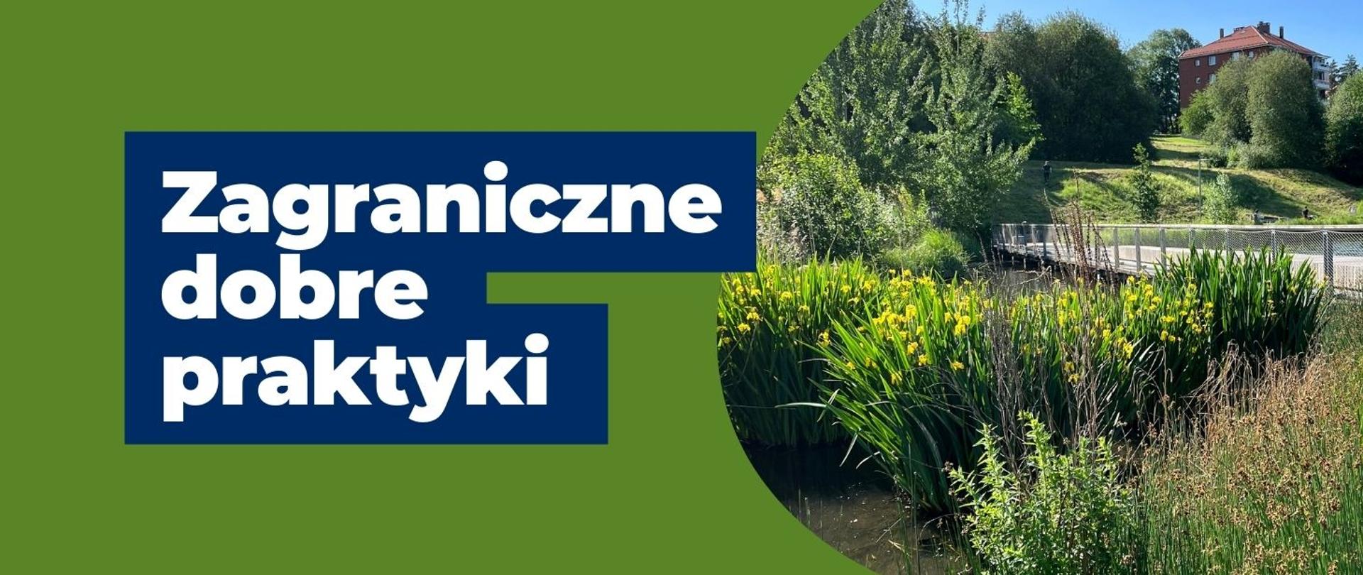 baner do artykułu Zagraniczne dobre praktyki. Po prawej stronie w ramce znajduje się przykład inwestycji w Oslo. 