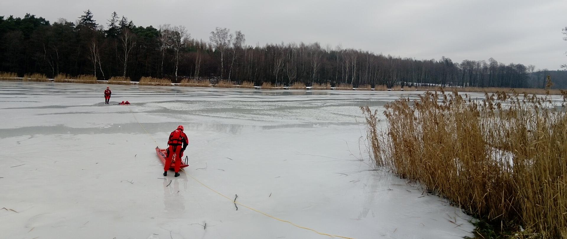 Strażak w czerwonym skafandrze i saniami lodowymi przesuwa się po lodzie w kierunku innych strażaków na środku stawu. Po prawej stronie sucha trzcina. w oddali las.