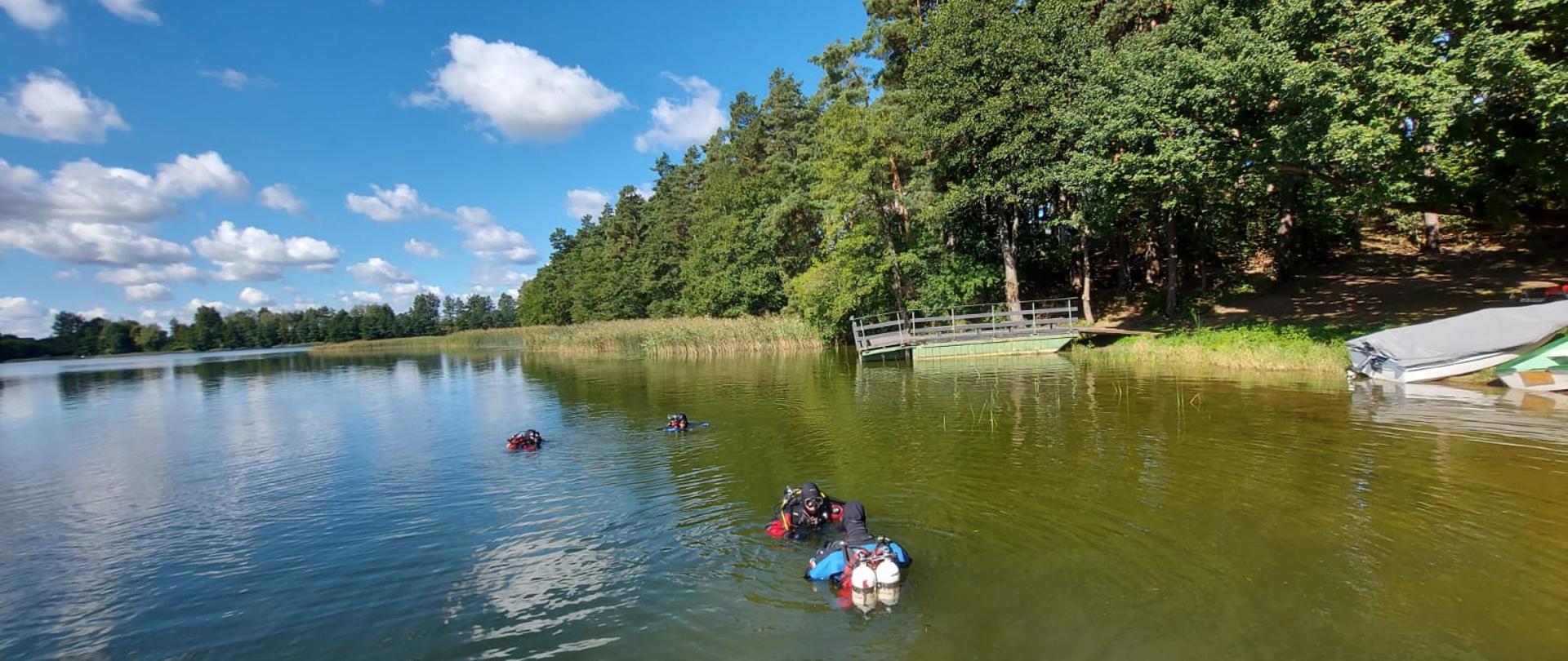 Nurkowie w wodzie niedaleko brzegu jeziora.