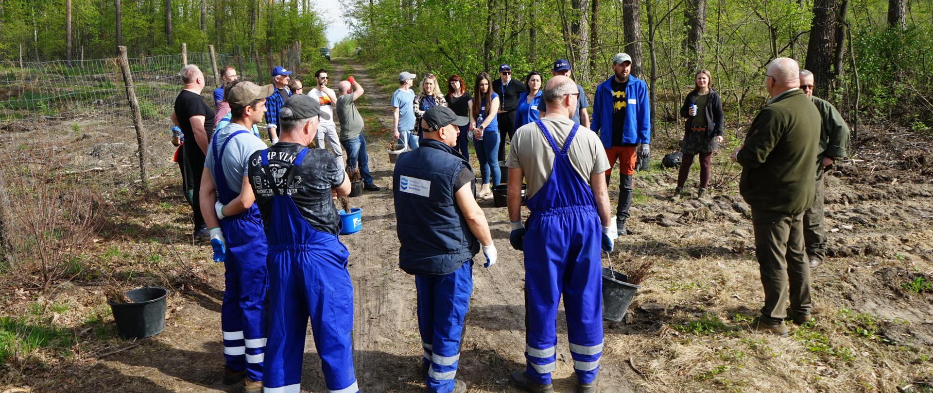 Pracownicy wrocławskich Wód Polskich podczas akcji sadzenia drzew na terenie Parku Krajobrazowego Dolina Jezierzycy.