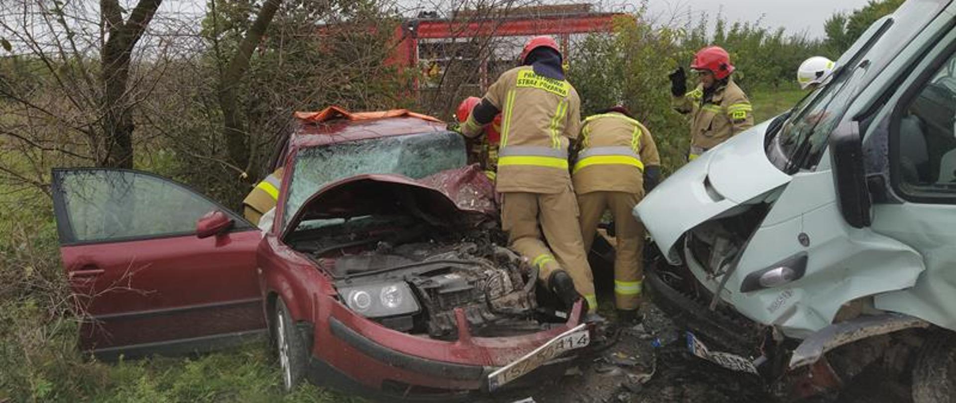 Działania ratownicze w miejscowości Brzeziny