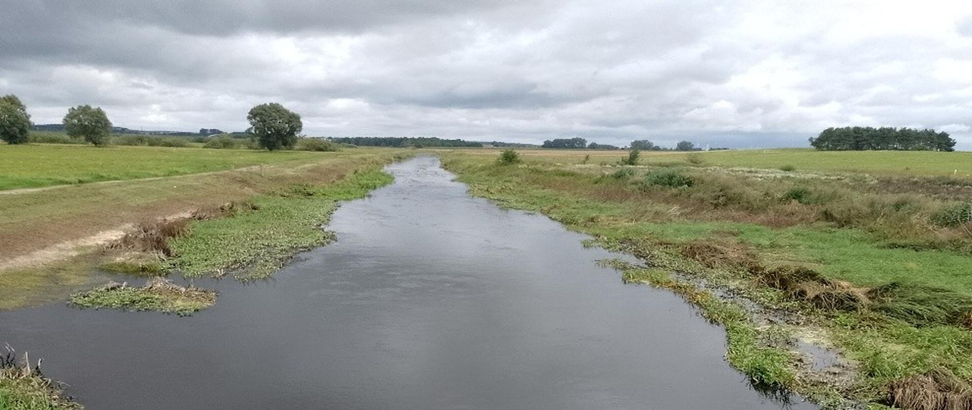 Rzeka Wkra w miejscowości Kruki – wysoki stan wody, po obu stronach rzeki pola.
