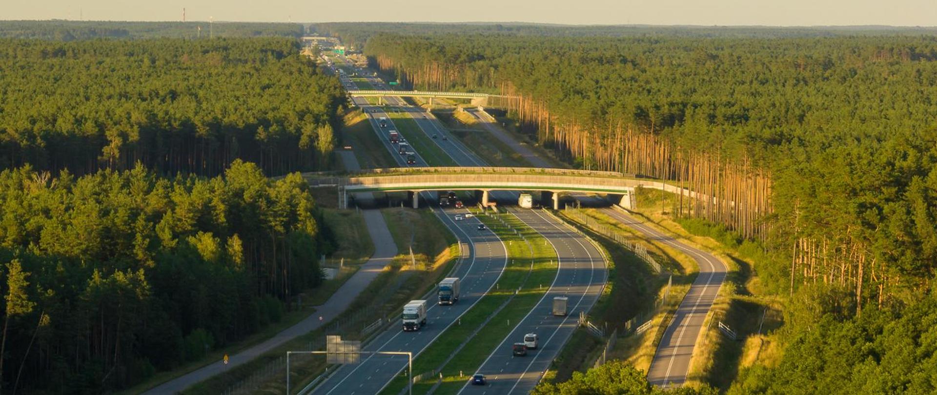 Widok z lotu ptaka na wielopasmową drogą przecinającą gęsty las. Droga biegnie przez zielony krajobraz, a jej jezdnie są oddzielone trawiastym pasem rozdzielającym. Nad drogą przebiega wiadukt, a na trasie widoczne są pojazdy — zarówno samochody osobowe, jak i ciężarowe. Całość oświetlona jest naturalnym światłem dziennym, które podkreśla kolory drzew i nawierzchni.