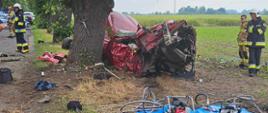 Obok drzewa, w polu kukurydzy znajduje się wrak samochodu osobowego. Dookoła porozrzucane są różne jego elementy. Na drzewie jest zawieszony krzyż. Przed drzewem, na niebieskiej macie ułożone sa narzędzia hydrauliczne i biały hełm strażacki. Wokół miejsca wypadku przemieszczaja się strażacy. W tle pola uprawne i drzewa, a także radiowóz policyjny i inne pojazdy.