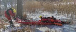 Zdjęcie przedstawia strażaków z Komendy Miejskiej Państwowej Straży Pożarnej w Olsztynie w trakcie ćwiczeń z zakresu ratownictwa na lodzie