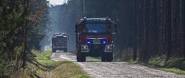 dwa samochody gaśnicze jadą szeroką leśną drogą