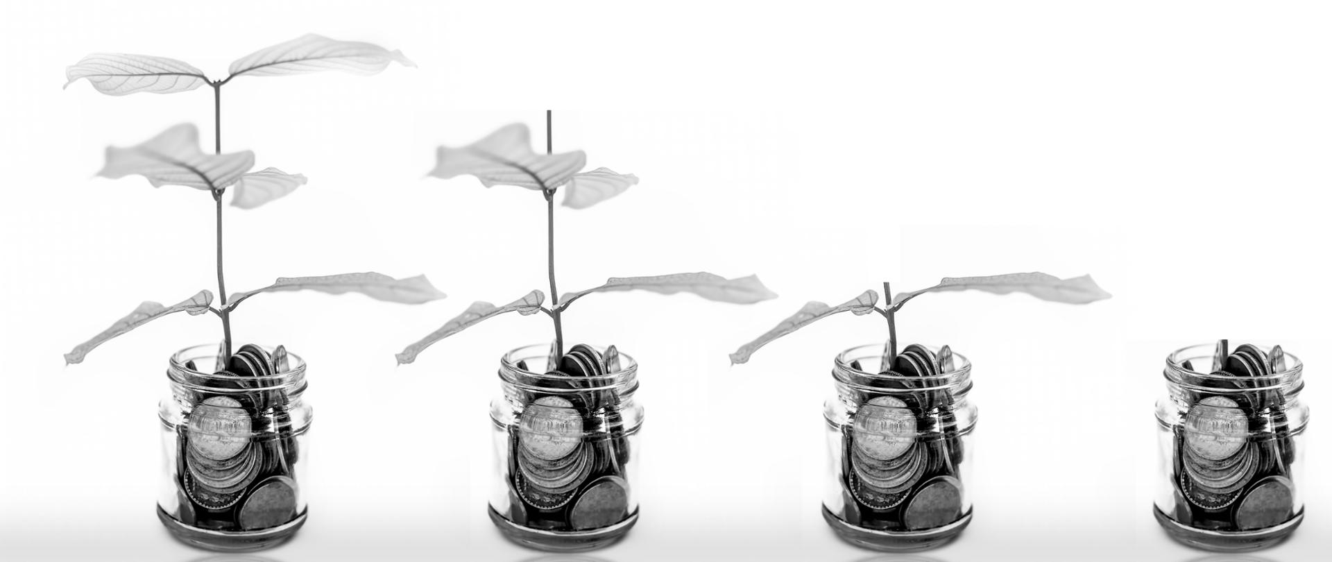 Cztery małe słoiki w których widać monety w tym z trzech dodatkowo wystają gałązki z liśćmi 