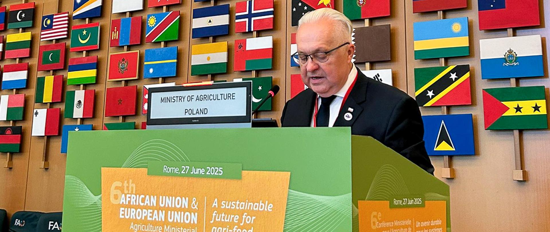 Wiceminister Jacek Czerniak przemawia podczas Konferencji UE-UA