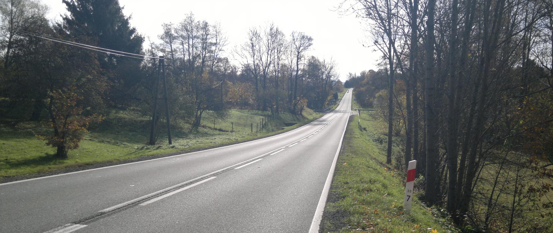 DK33 Roztoki fot. GDDKIA