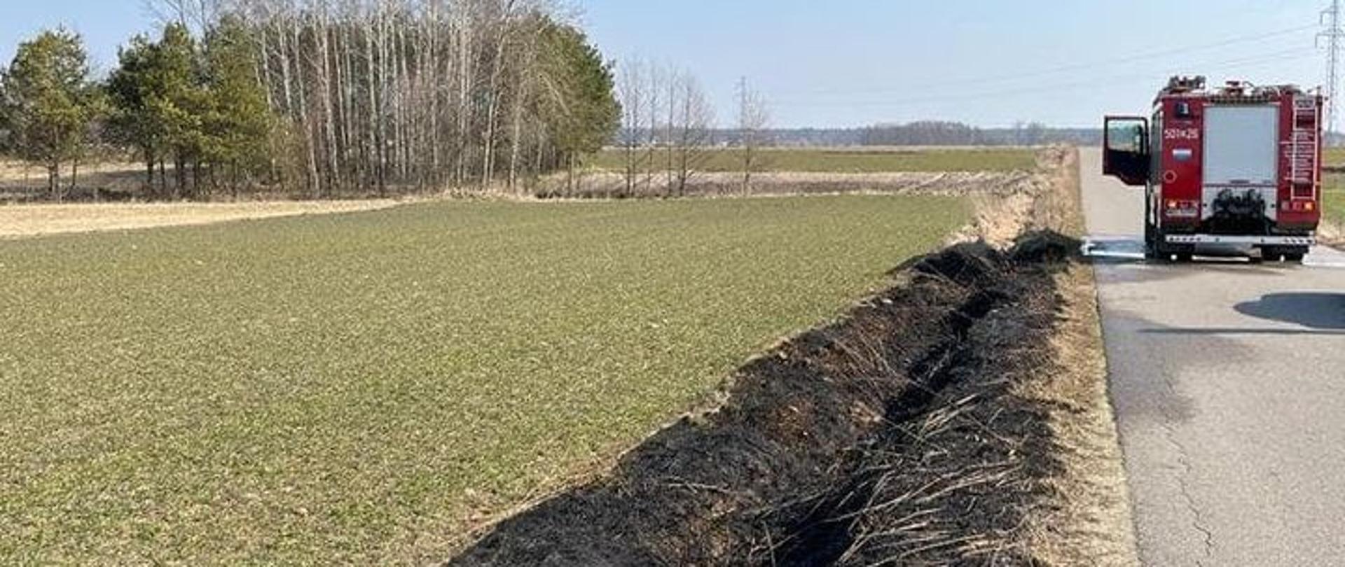 Spalona trawa na rowie przy drodze