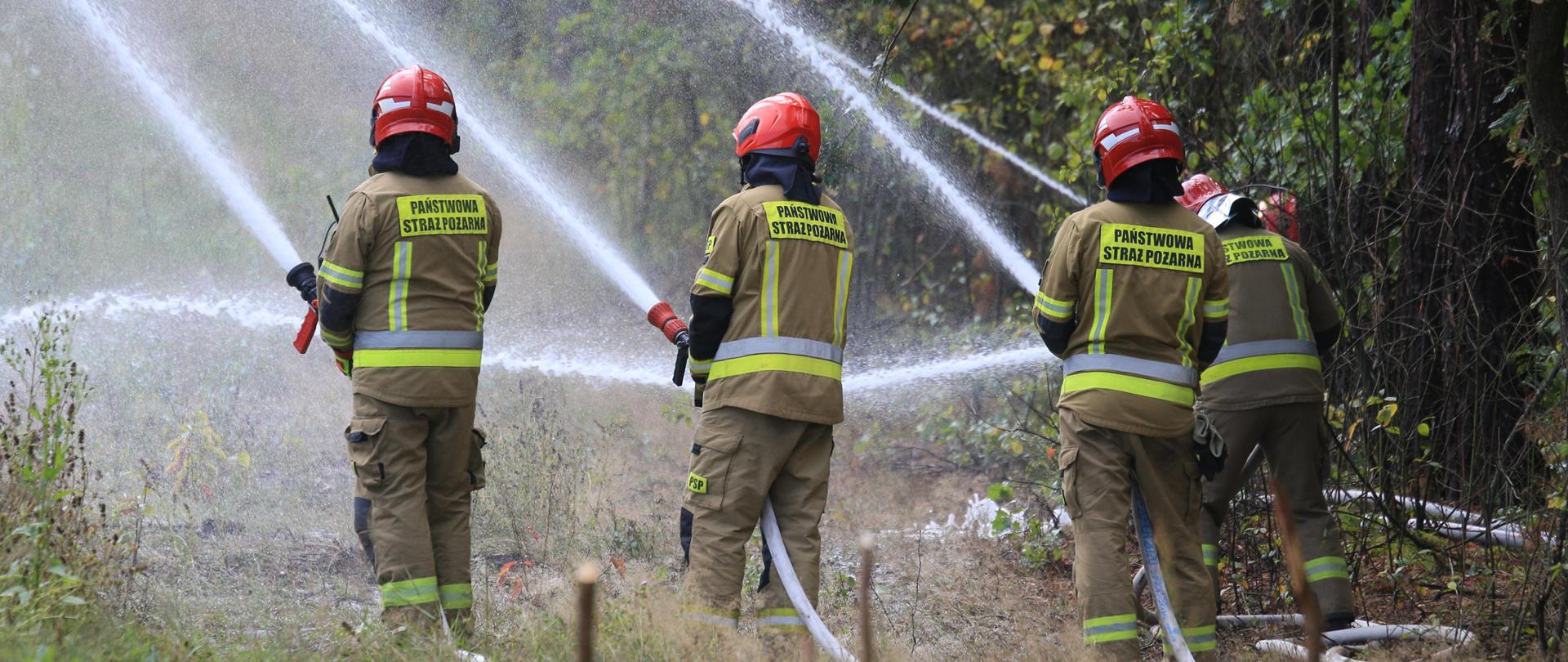 Strażacy gaszą las