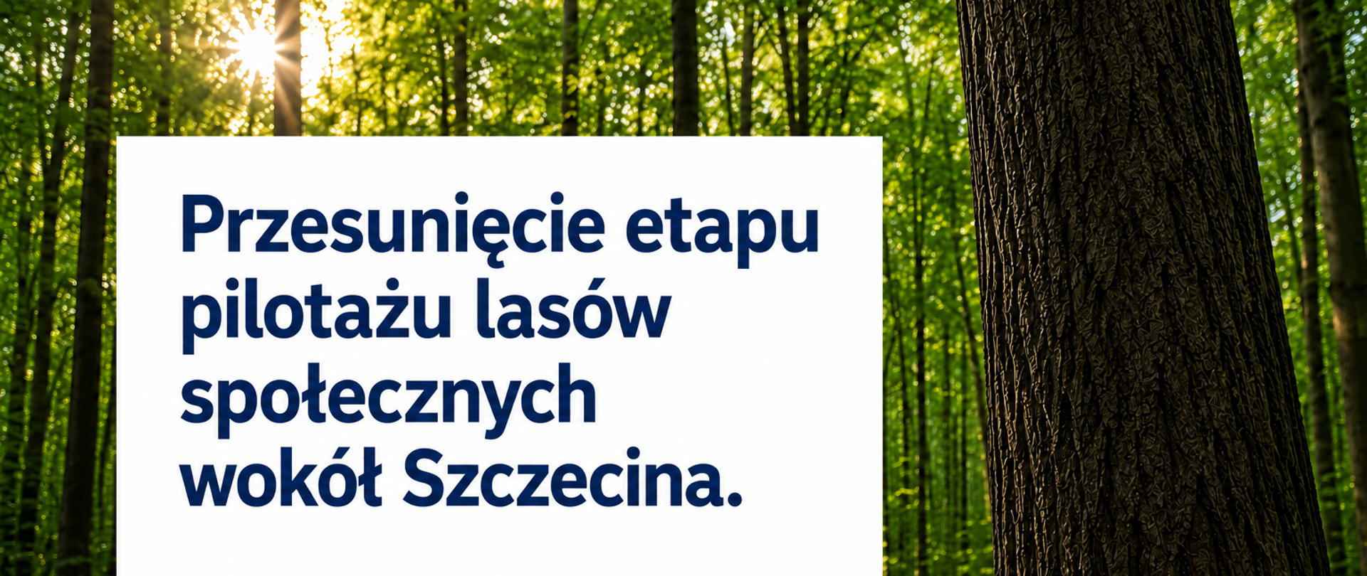 lolol_szczecin