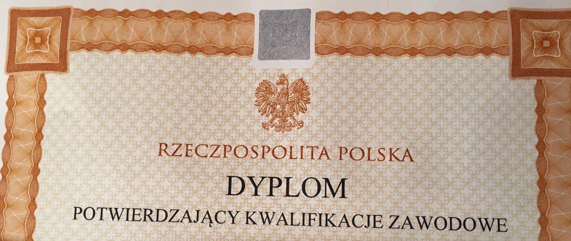 dyplom