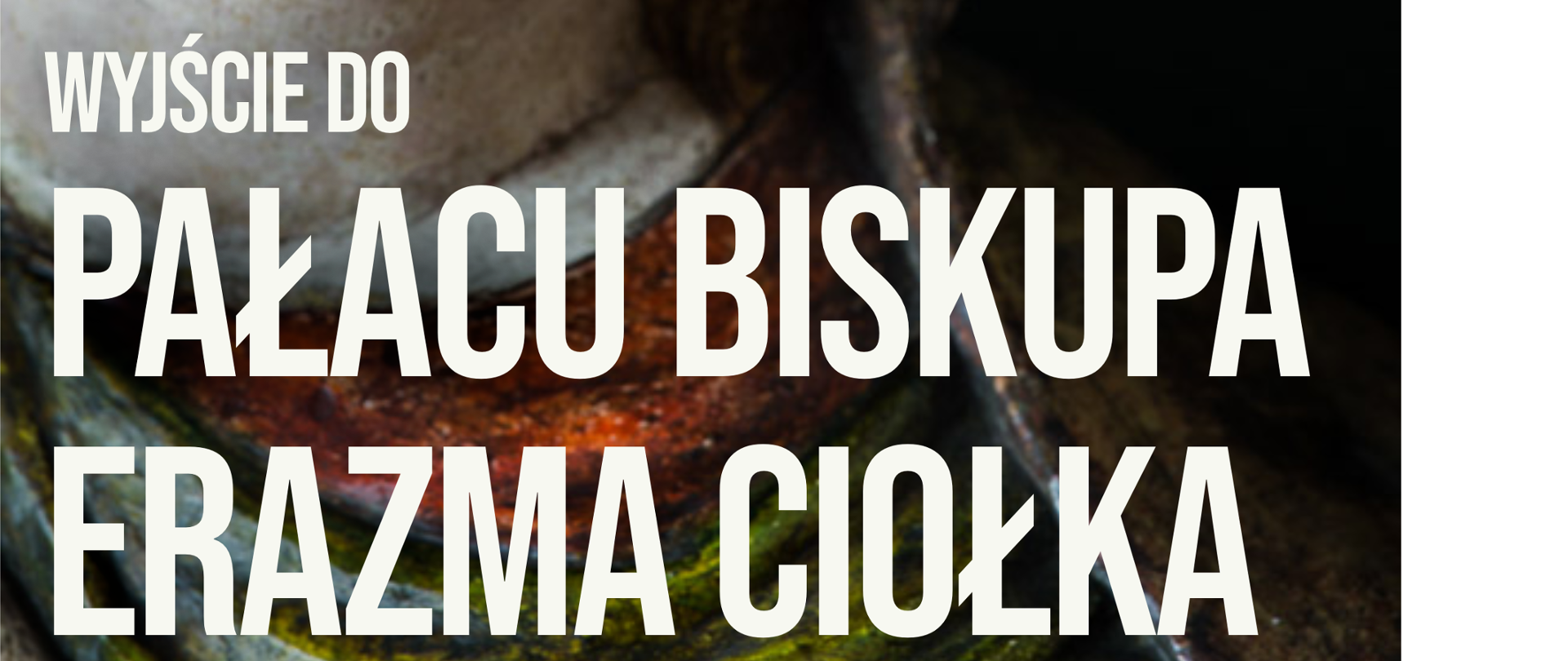 Plakat zapowiadający wyjście do Pałacu Biskupa Erazma Ciołka. Biało - czarne tło, na nim rzeźba – Madonna z Krużlowej. Białe i czarne napisy informacyjne: data i godzina
