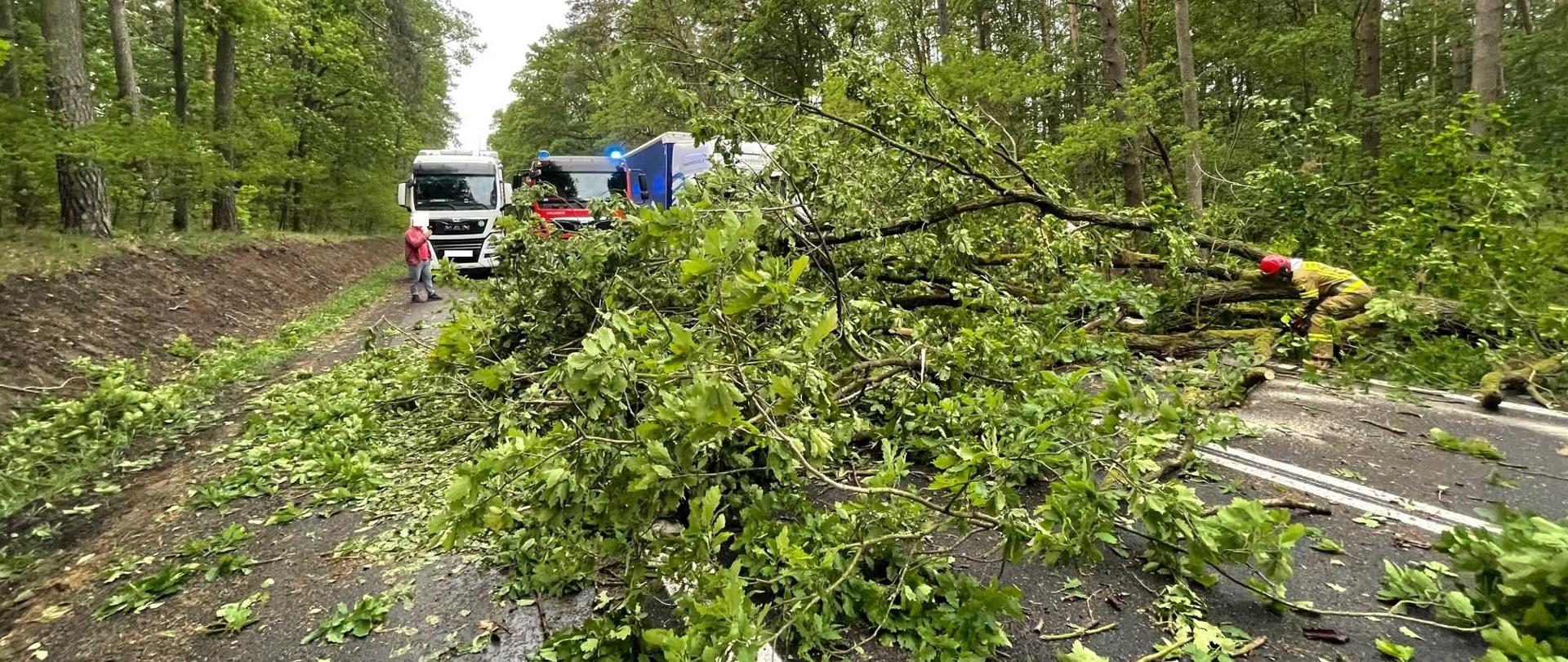 Zdjęcie przedstawia strażaków usuwających przewrócone drzewo z drogi.
W tle inne drzewa i samochód strażacki.
