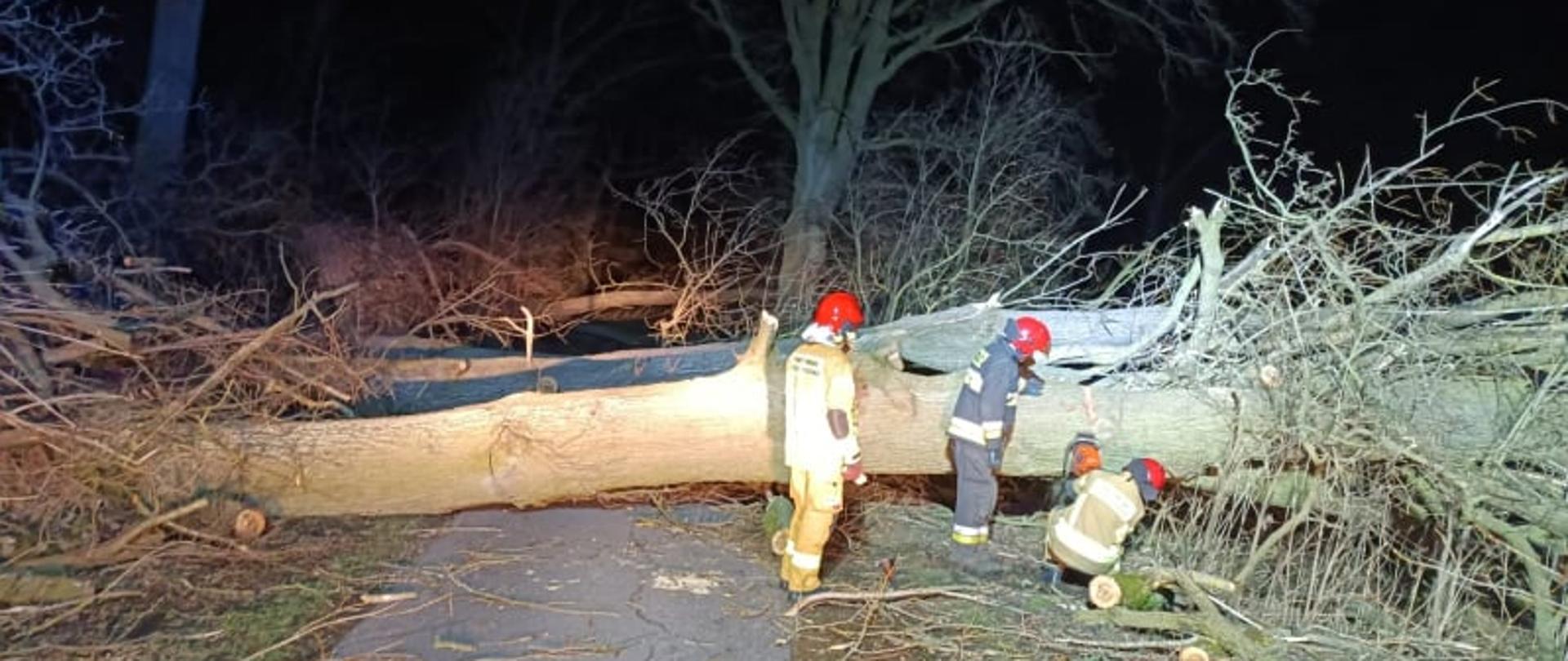 Strażak tnie drzewo, które przewróciło się na drogę. W tle kolejne dwa powalone drzewa.